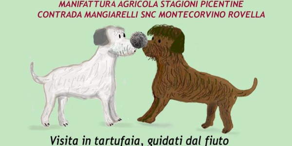 Tra profumo e gusto alla cerca del tartufo